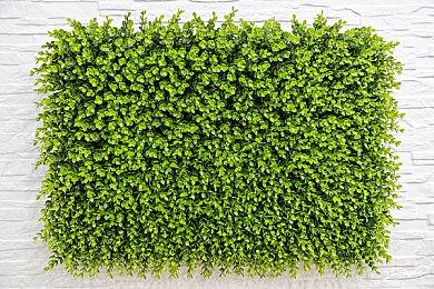 任天堂对Switch模拟器Yuzu作者发起诉讼